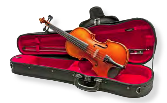 Violingarnitur VL100 Geigenbauer-Qualität! NEU